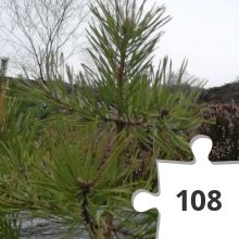 Jigsaw puzzle - IMG_20191220_134414