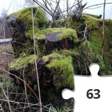 Jigsaw puzzle - IMG_20191220_140601