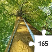 Jigsaw puzzle - Klatring på bjerget 1