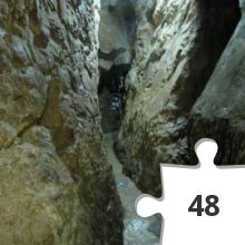 Jigsaw puzzle - נקבת השילוח