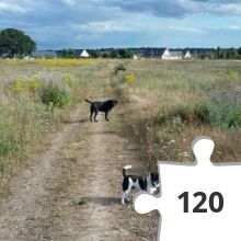 Jigsaw puzzle - puzzle cache 6