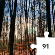 Jigsaw puzzle - Angeln in Venwegen #13