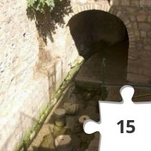 Jigsaw puzzle - נקבת השילוח