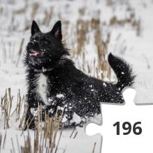 Jigsaw puzzle - Choko