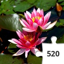 Jigsaw puzzle - lotus1