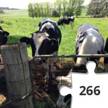 Jigsaw puzzle - 2018-10-27 11.17.41