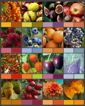 Solve Autumn colours jigsaw puzzle online with 320 pieces