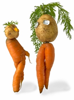 Carrots & Potatoes