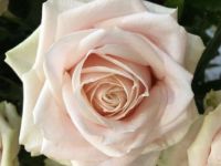 Kvinnodagen 2020 Naistenpäivä