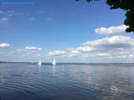 1 Steinhuder Meer Schwimmkerze